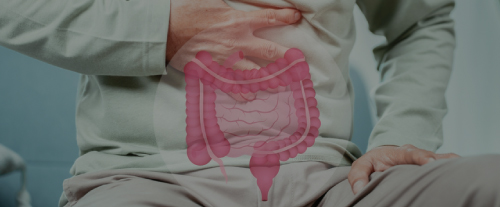 Image hover effect image